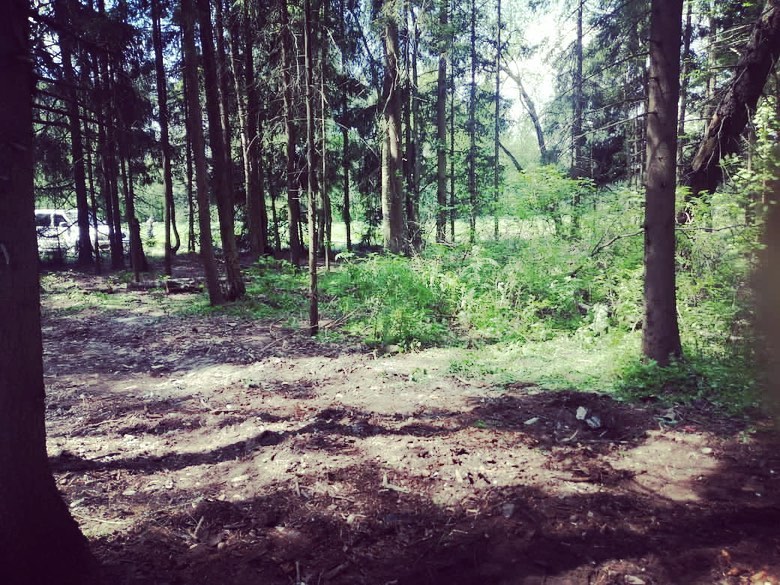 Несанкционированную свалку ликвидировали в лесах Пушкинского округа