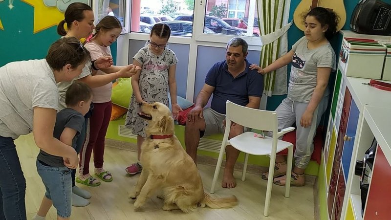 Собаки помогают в реабилитации детей-инвалидов в Ивантеевке