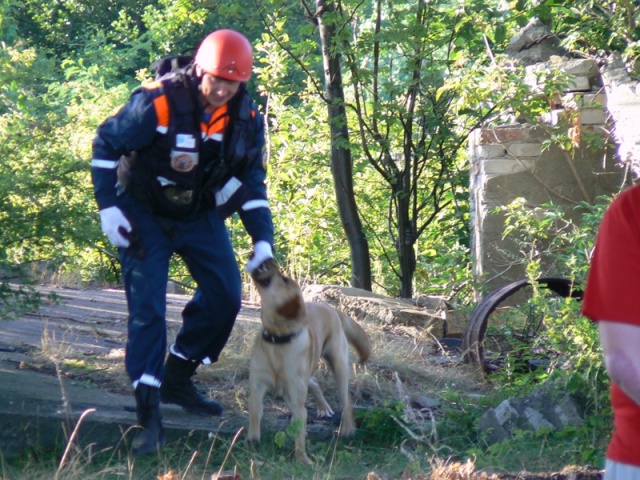 Спасатели освободили собаку, оставленную на привязи без еды и воды
