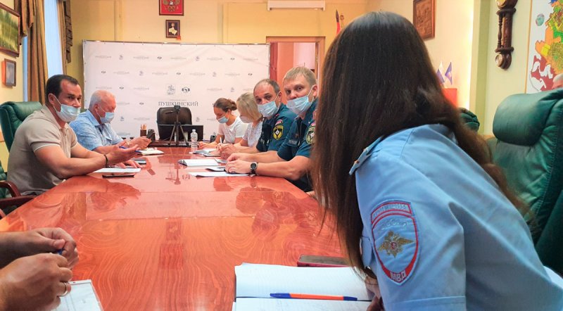 Вопросы безопасности пушкинцев обсудили на заседании Комиссии по чрезвычайным ситуациям