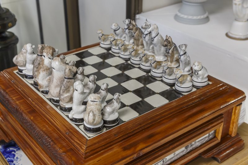 Выставка «Мир Шахмат. Гжель» открылась в Раменском округе