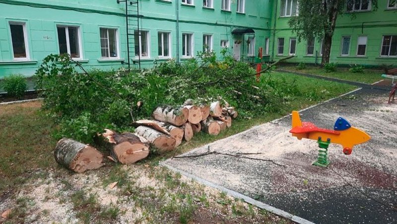 В ликвидации последствий урагана в Пушкинском округе задействовано 40 единиц техники