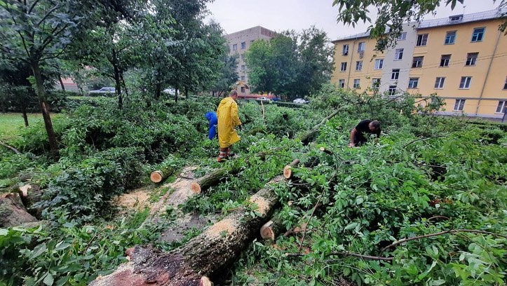 В ликвидации последствий урагана в Пушкинском округе задействовано 40 единиц техники