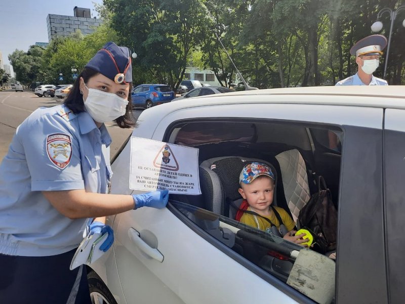 О правилах безопасности при перевозке детей и животных в автомобилях напомнили жителям Пушкино