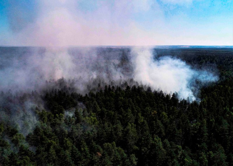 Лесной пожар на площади более 4 га ликвидирован в Дмитрове