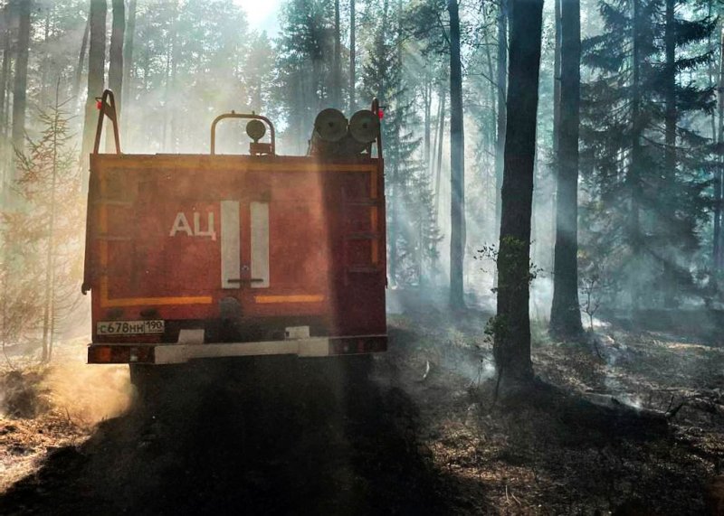 Лесной пожар на площади более 4 га ликвидирован в Дмитрове
