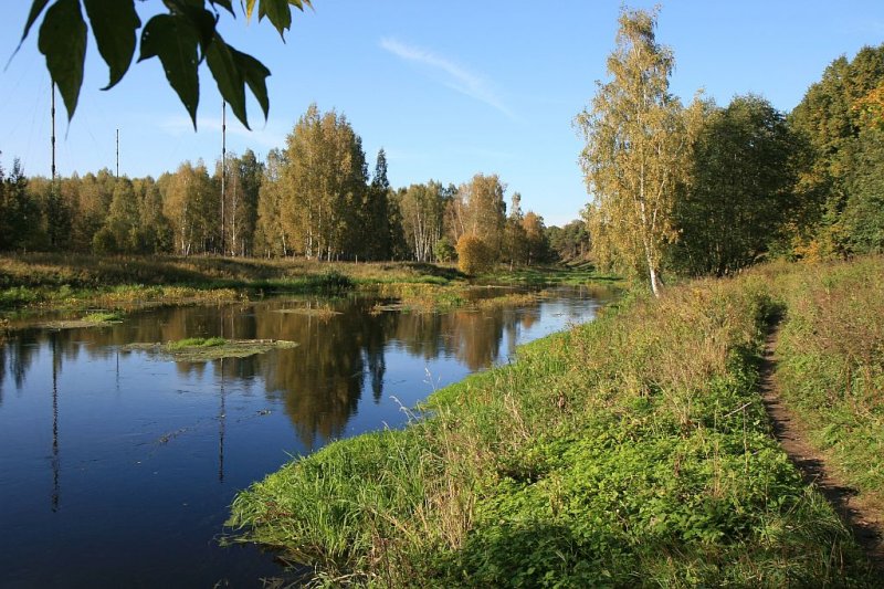 В Подмосковье расчистят около 18 км реки Клязьма