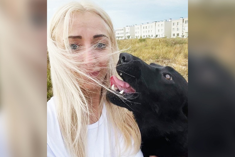 В Домодедове нашли пса с Чукотки, потерявшегося при пересадке на самолёт