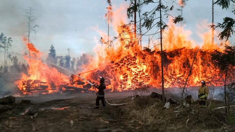 В Подмосковье до 27 июля продлили желтый уровень опасности из-за лесных пожаров