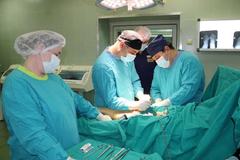 Более 70 врачей пришли работать в медучреждения Пушкино и Ивантеевки