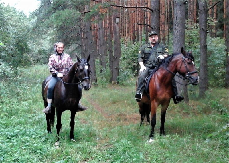 На охрану клинских лесов вышли конные патрули