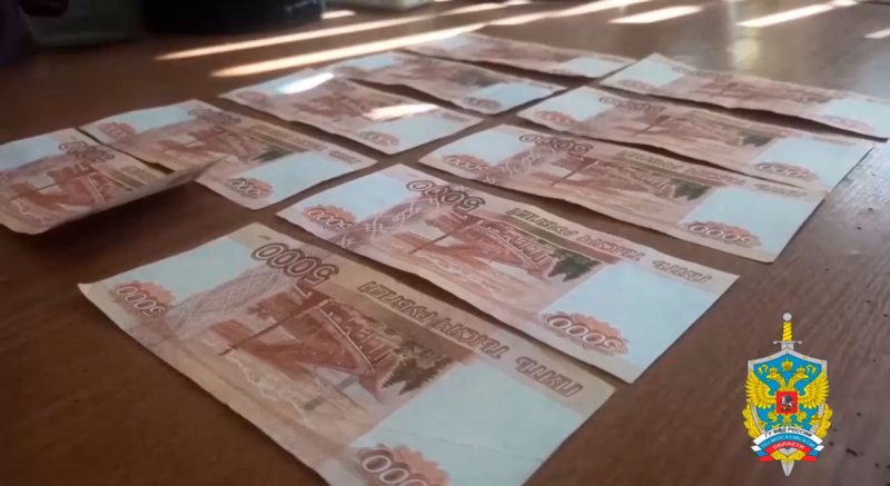 В Орехово-Зуево задержали двух женщин, похищавших деньги у пенсионеров