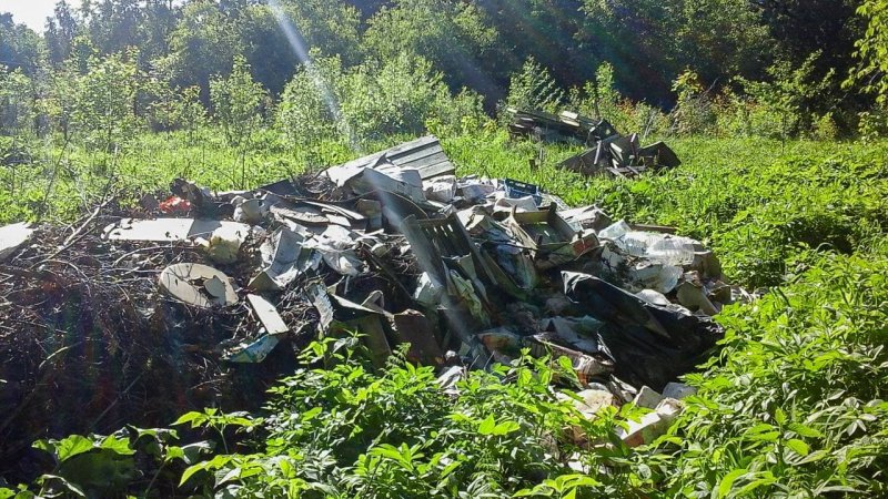 СНТ в Дмитровском округе ответит за загрязнение лесного фонда
