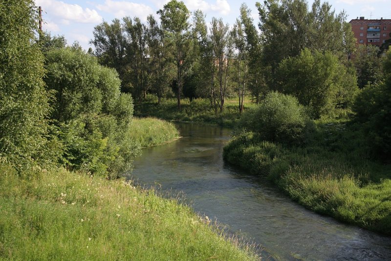 В Подмосковье разрабатывают проекты реабилитации и очистки 12 малых рек