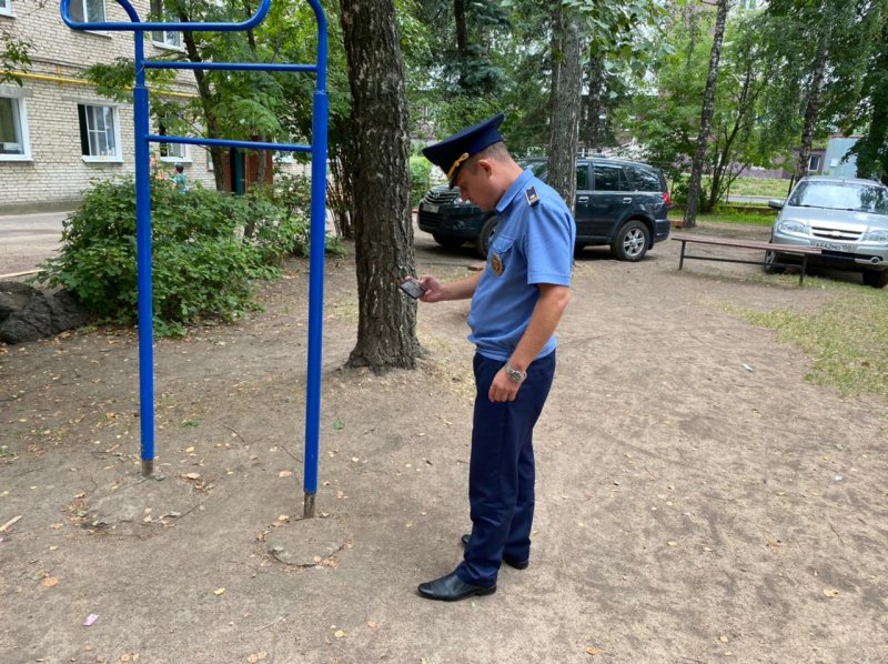 В Пушкинском округе устранено 58 нарушений в содержании детских игровых площадок