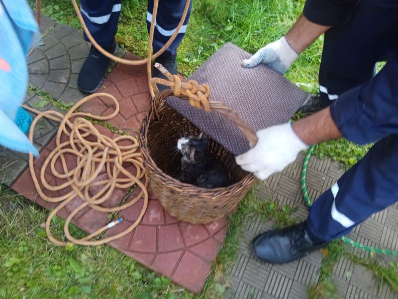 В Волоколамском округе спасатели вытащили из колодца упавшего котенка
