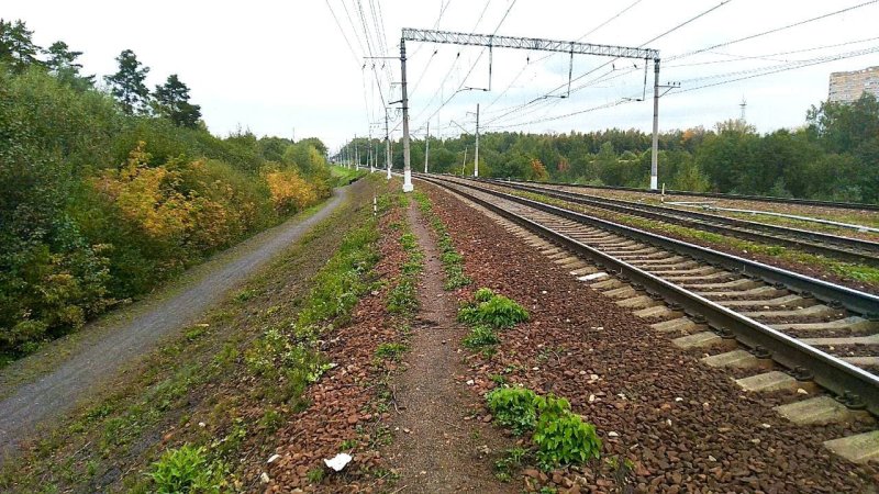 В Пушкино поезд сбил пешехода