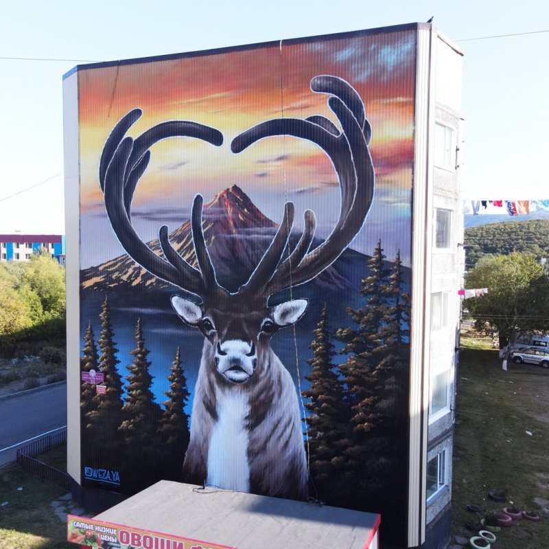 Художник из Пушкино победил на фестивале граффити «Город для жизни»