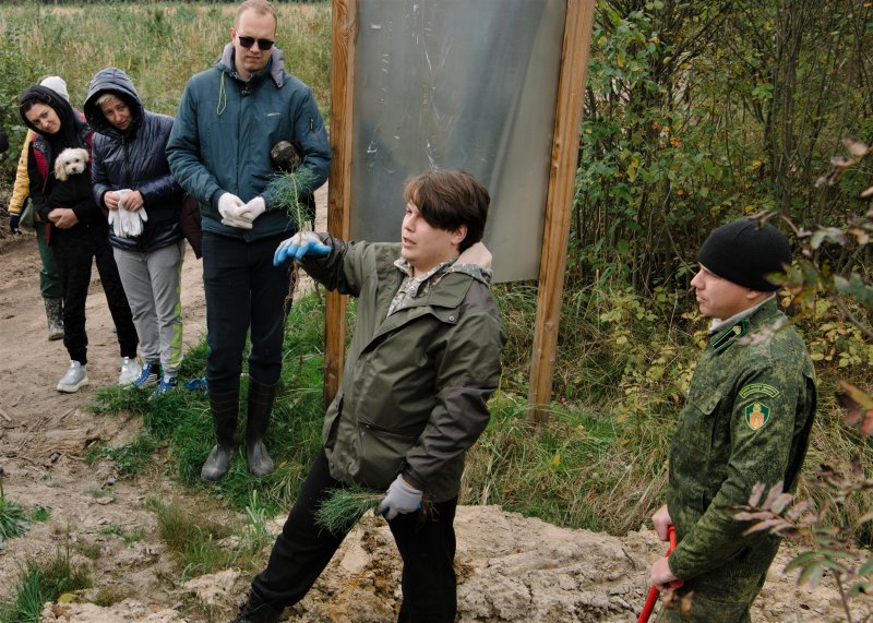 В Орехово-Зуево волонтёры высадили несколько гектаров леса