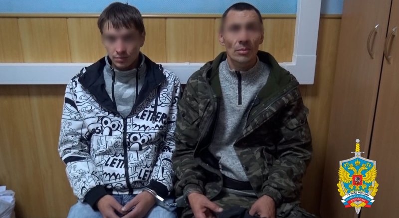 Двое приезжих ограбили частный дом в Дмитровском округе