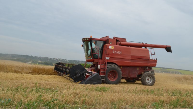 Сбор урожая озимых зерновых культур подходит к завершению в Подмосковье