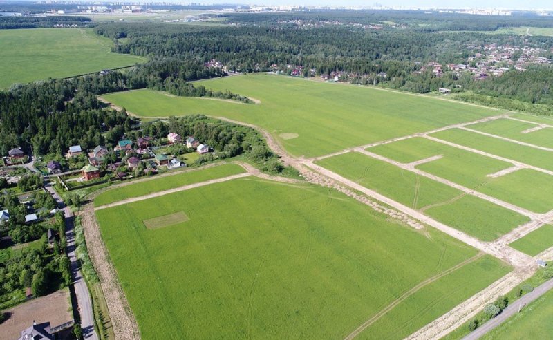 Почти 300 га земли областной собственности переданы в аренду в Подмосковье в 2021 году