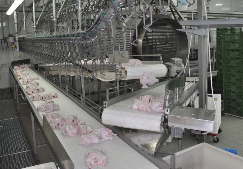 Производство мяса выросло в Подмосковье на 7,5 тыс. тонн за 8 месяцев 2021 года