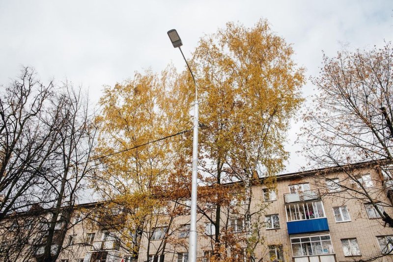 Более шести километров новых линий освещения появилось в Пушкинском округе