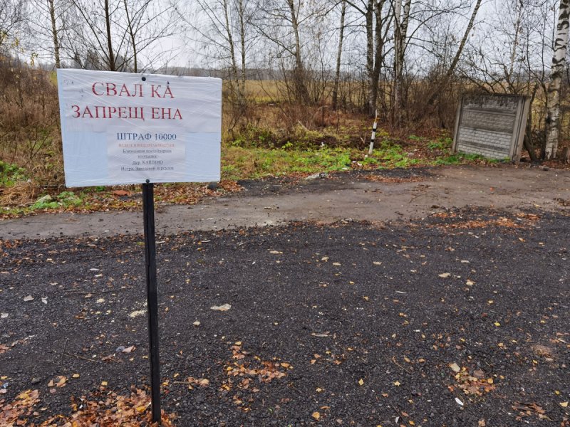 Деревню Рычково в Истре оставили без площадки для сбора мусора