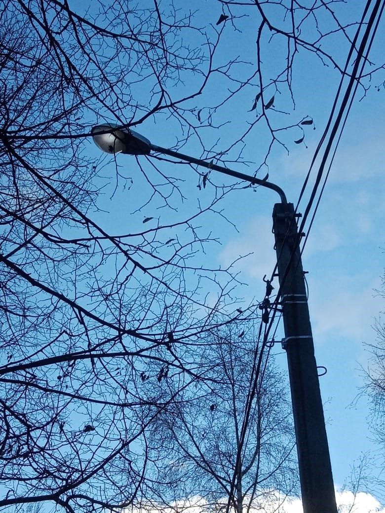 В Пушкинском округе устранено 21 нарушение в содержании средств наружного освещения