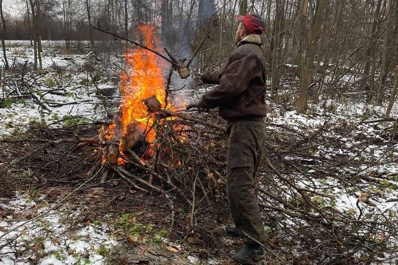 Санитарные рубки продолжают проводить в лесах Одинцовского и Рузского городских округов