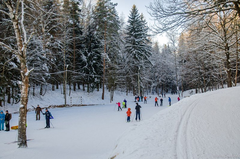 Лыжные трассы Подмосковья: в каких парках можно будет покататься этой зимой