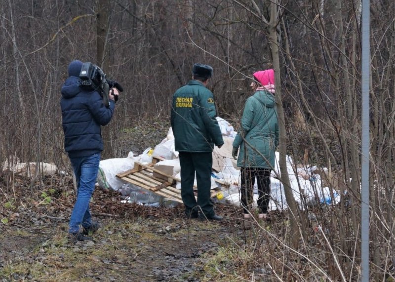 Предприниматель, устроивший свалку в лесу, ответит за нарушение в Подольске