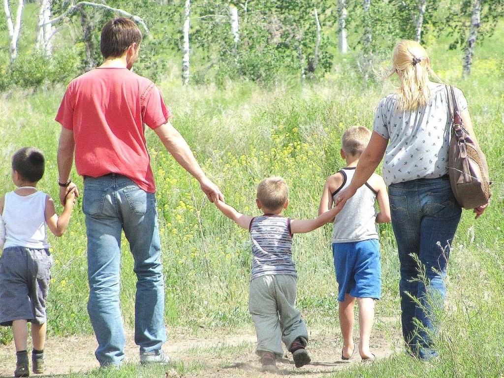 Семейный участок. Земельные участки многодетным семьям. Участки многодетным. Земля многодетным Подмосковье. Участки для многодетных семей.