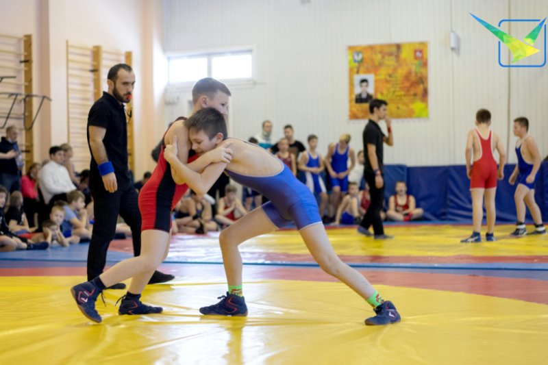 Более 70 спортсменов собрали соревнования по греко-римской борьбе в Луховицах