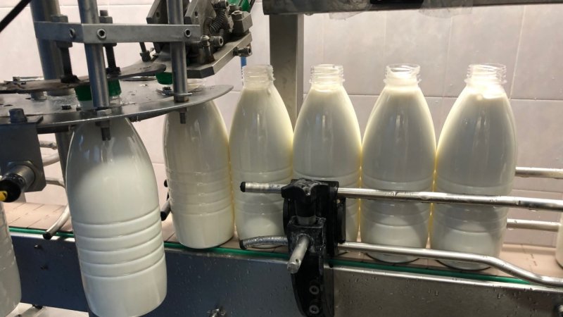 Лауреатами конкурса «100 лучших товаров России» стали молоко и сырки из Московской области