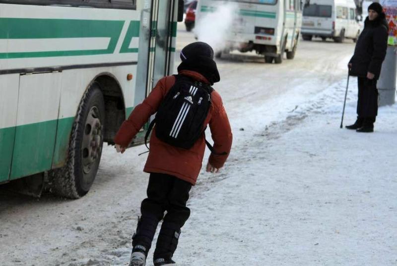 В Чехове ребенка высадили из автобуса на мороз из-за нехватки денег