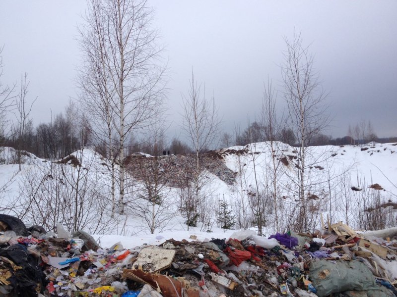 В Клину обнаружили несанкционированную свалку бытовых отходов
