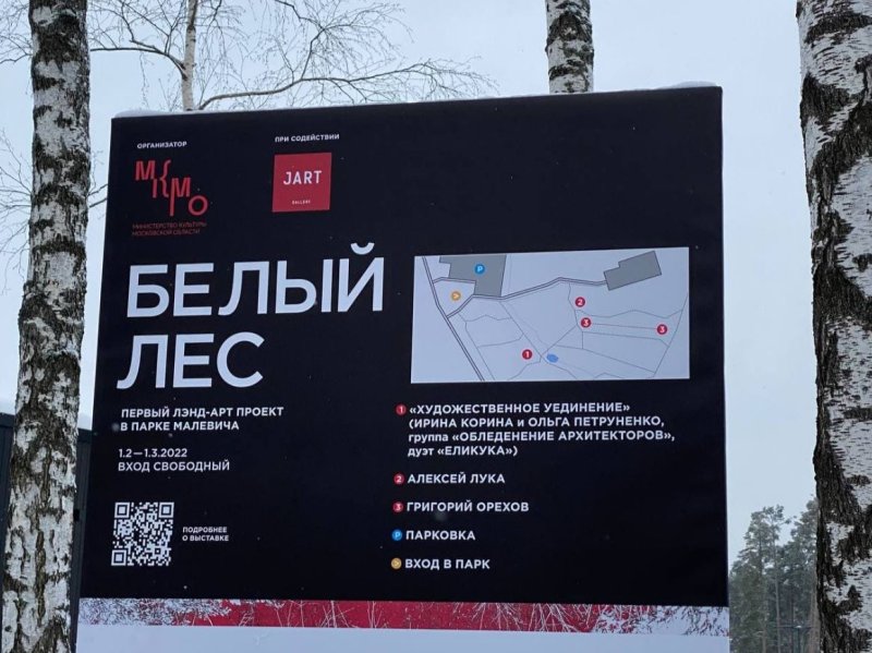 В Парке Малевича открылся лэнд-арт проект российских художников «Белый лес»