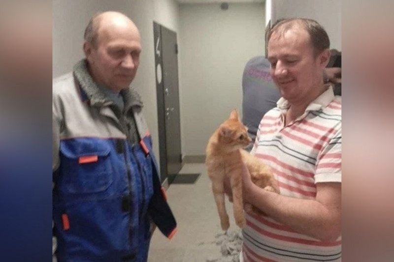 Рыжего кота спасли из вентиляции жилого комплекса в Королёве