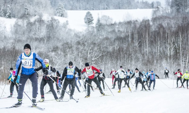 «Лыжня в Лавру 2022» стартует 23 февраля в деревне Нововоронино Пушкинского округа