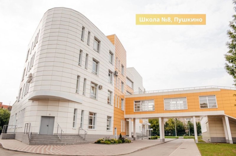 В Пушкинском округе ведутся работы по повышению качества образования