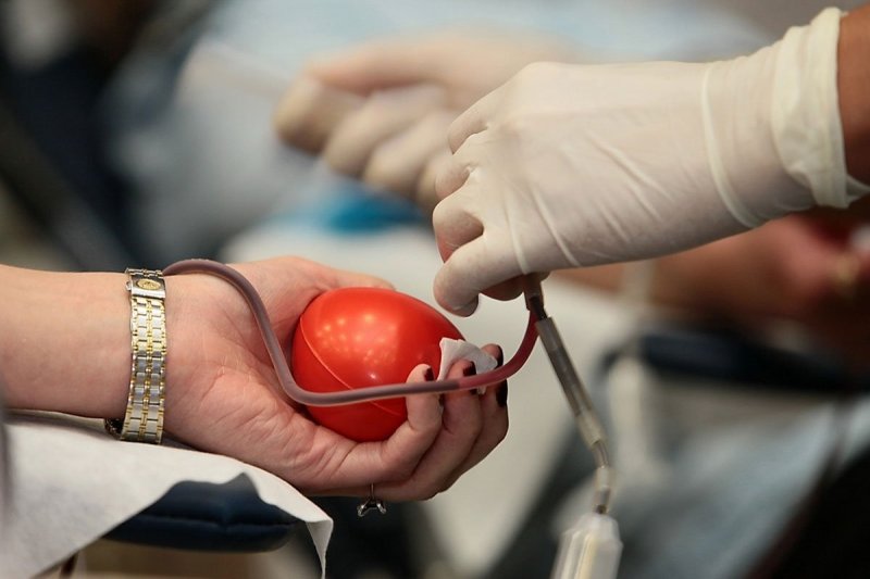 Почти 70 тонн донорской крови заготовили в Подмосковье в прошлом году