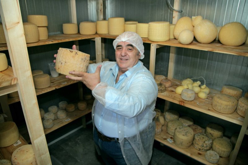 Сыровары из Италии и США собираются остаться и развиваться в Подмосковье