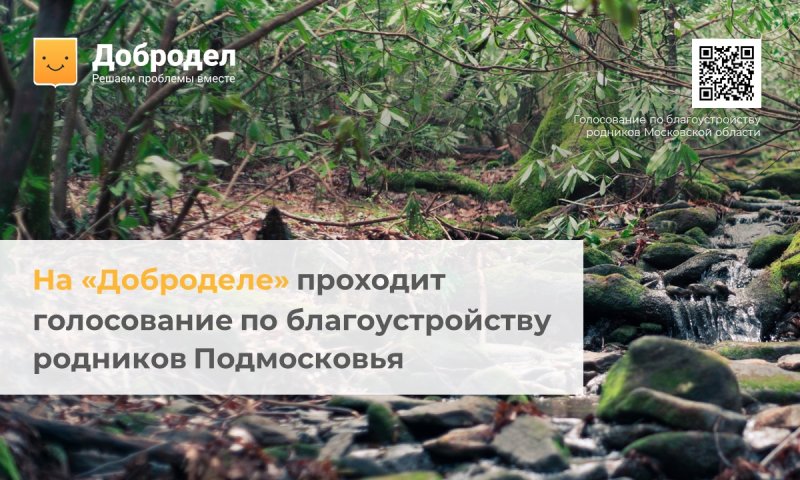 Жители Пушкинского округа могут проголосовать за обустройство родника