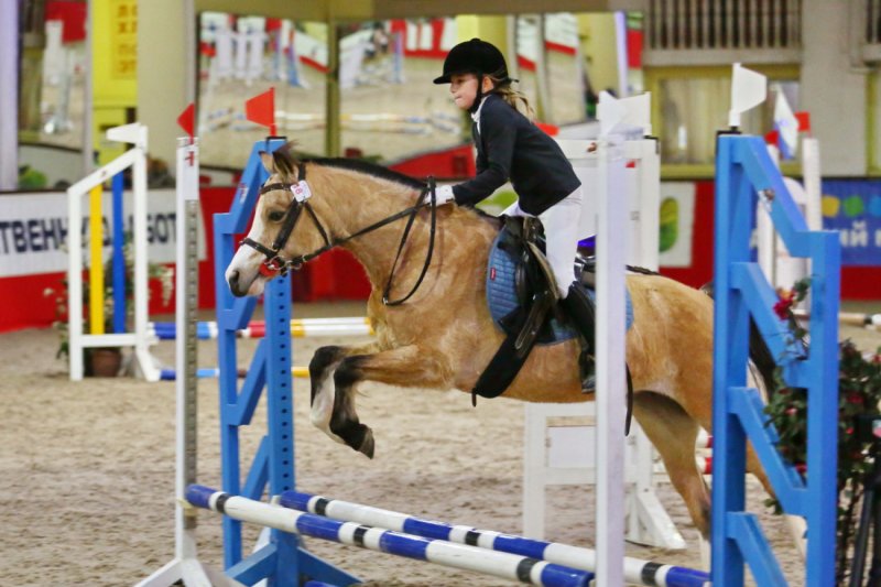 Всероссийские соревнования по конному спорту среди школьников пройдут в КСК «Измайлово»