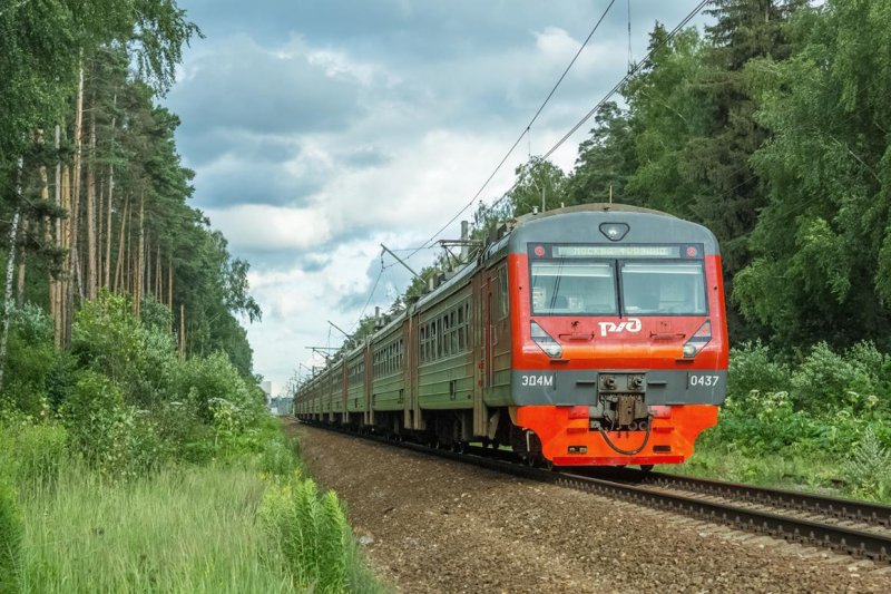 В Подмосковье в марте запустят дополнительные «дачные» поезда