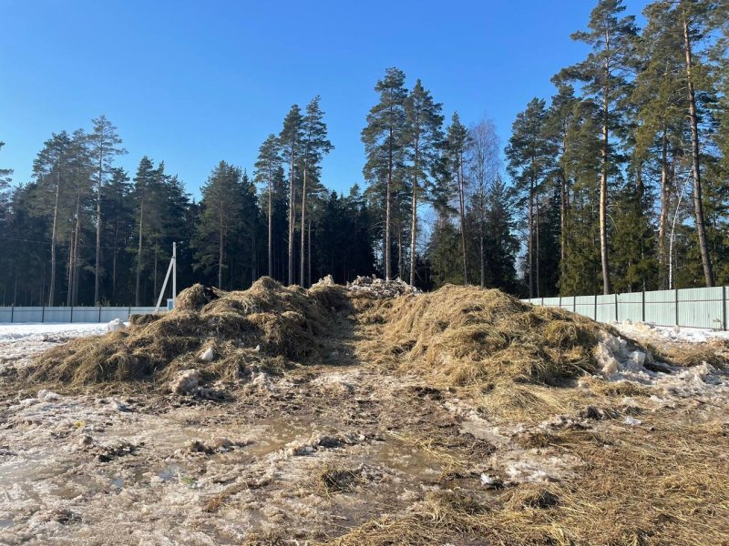 Снежное хранилище для сеянцев подготовили в Егорьевске