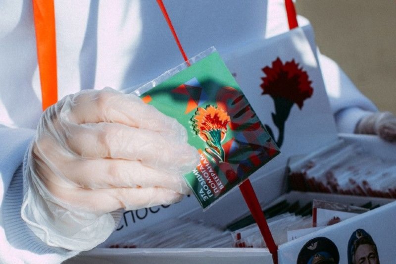Жители Подмосковья могут принять участие в акции по поддержке ветеранов «Красная гвоздика»