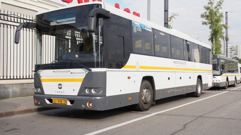 Для празднования свадьбы жители Подмосковья смогут заказать автобус Мострансавто